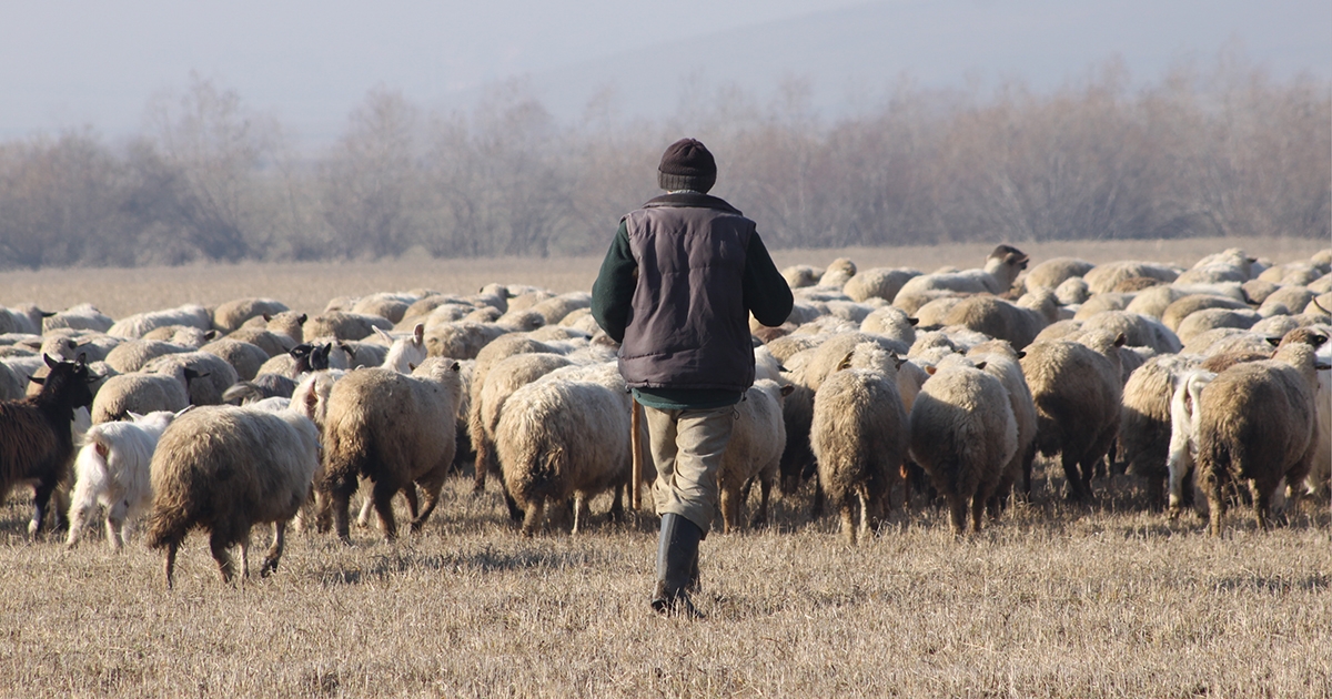 Még nem jelentek meg  a végleges kiírások